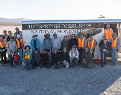 Monumental Mammoth Project